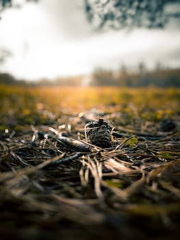 汇率波动加剧,企业积极应对;上市公司套保动作频频,美元高息吸引力减弱。 股票财经 汇率波动加剧,企业积极应对;上市公司套保动作频频,美元高息吸引力减弱。 股票财经