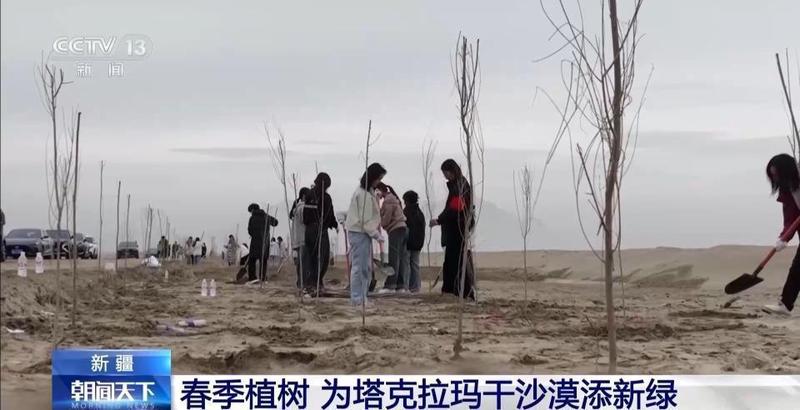  大地回春，万物竞发：神州大地春意浓，生态画卷徐徐铺展 文化旅游