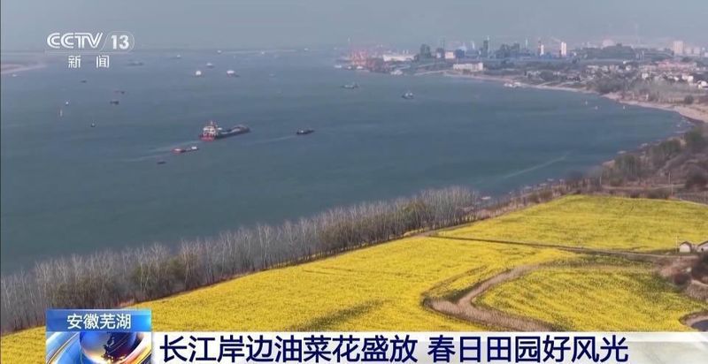  大地回春，万物竞发：神州大地春意浓，生态画卷徐徐铺展 文化旅游