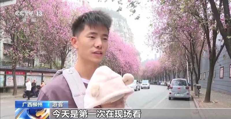  大地回春，万物竞发：神州大地春意浓，生态画卷徐徐铺展 文化旅游