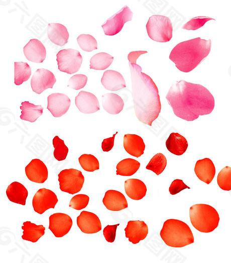  【龙宇股份受损投资者】+【普通代表人诉讼维权实操指南】 新闻