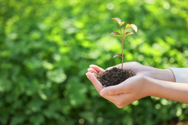 如何让生命教育不再流于形式？从生活细节中重构情感连接的策略