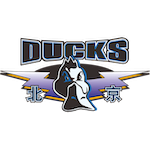  胜利并非终极答案：竞技体育中被忽视的系统性风险 体育新闻