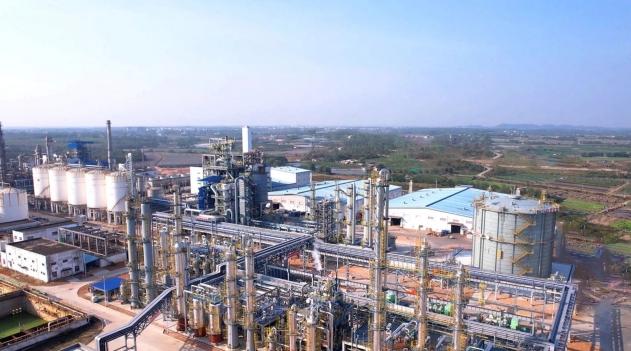  “十五五”元年：解码上海未来产业的战略布局与实施路径 新闻