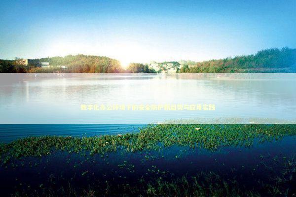 数字化办公环境下的安全防护新趋势与应用实践