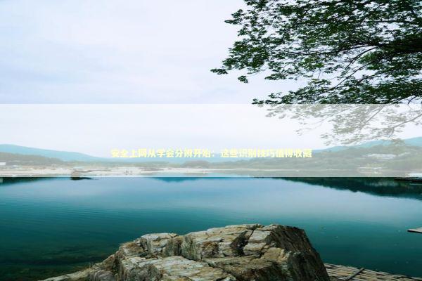 安全上网从学会分辨开始：这些识别技巧值得收藏 IT技术